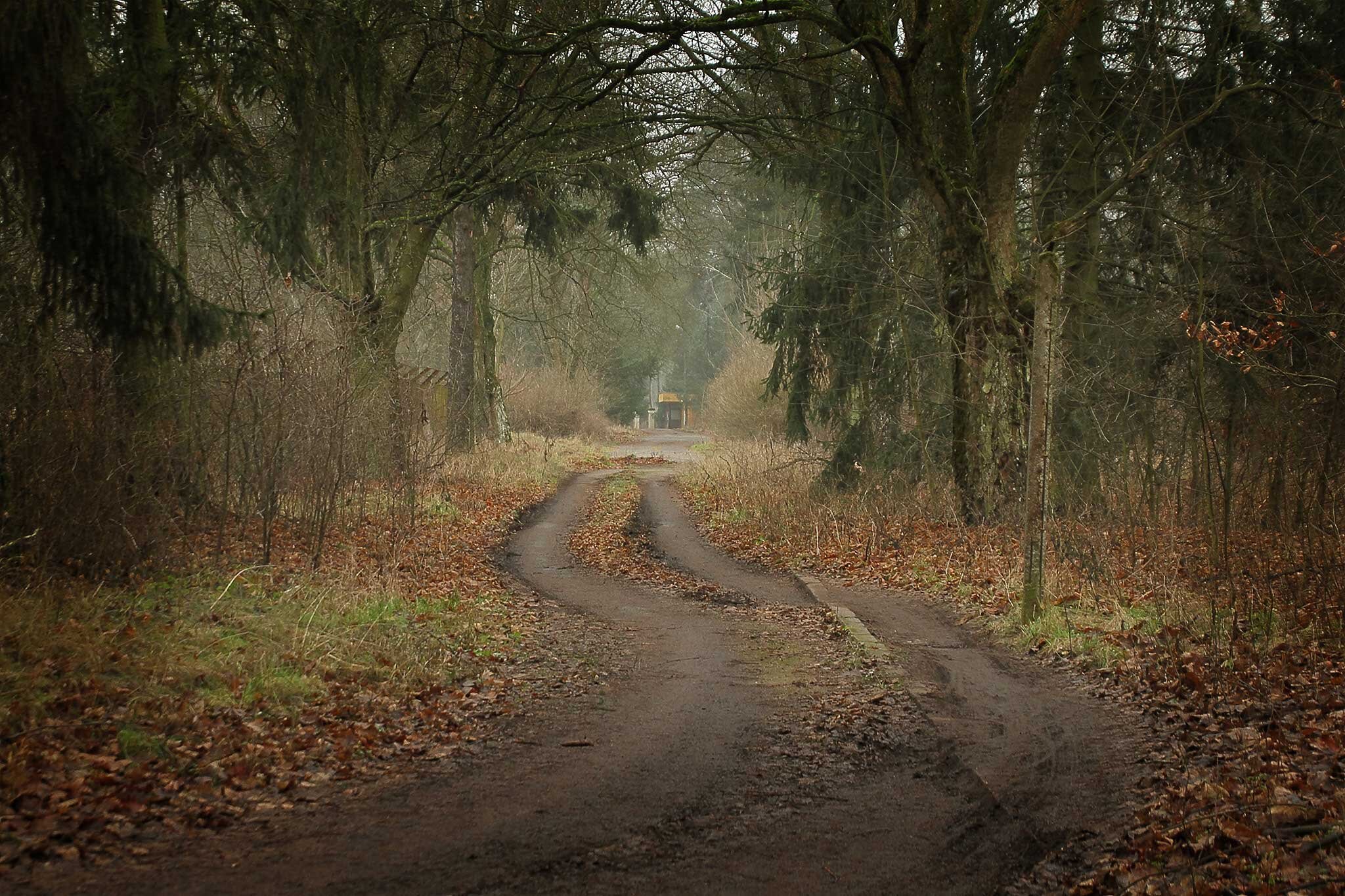 Nowy Rok czas zacząć